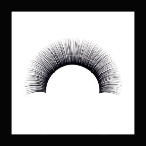 Volume Lashes