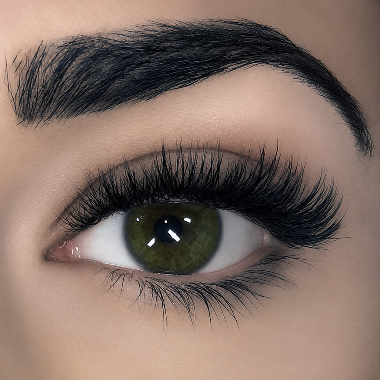 Lashes